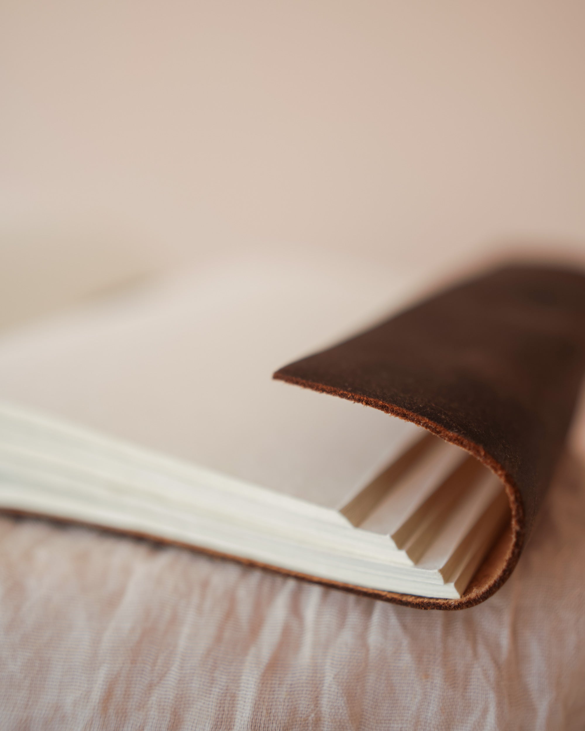 The Journal
